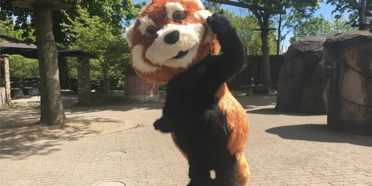 Snart Huserer Et Nyt Og Kaempestort Dyr I Odense Zoo Snart Huserer Et Nyt Og Kaempestort Dyr I Odense Zoo